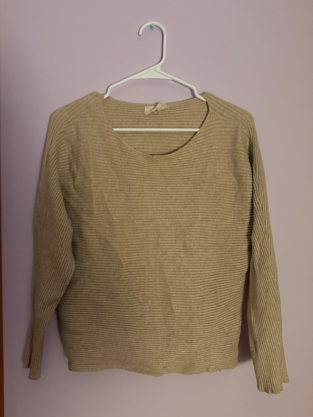 Women's Soft Stretchy Beige Fall Autumn Ribbed Crewneck Sweater in Light Tan